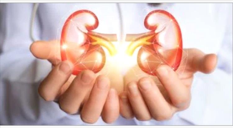 هل يمكن علاج مرض الكلى المزمن؟
