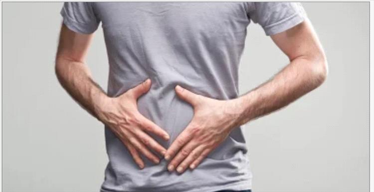 الأطعمة عالية الدهون تقلل الخلايا المناعية داخل الأمعاء.. دراسة توضح