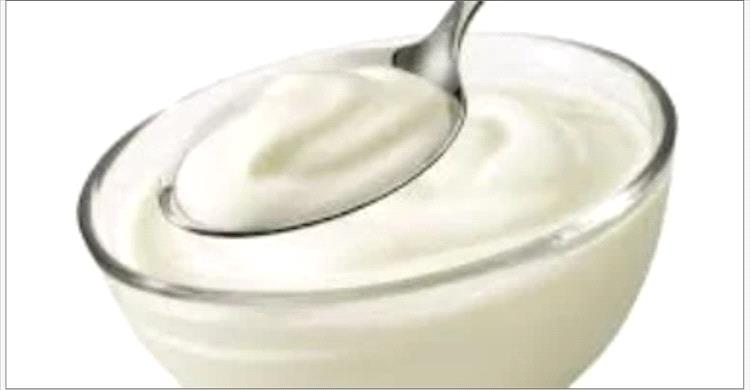 الزبادي أم اللبن الرايب ؟ .. اختلاف البكتيريا يحسم الفوائد الصحية