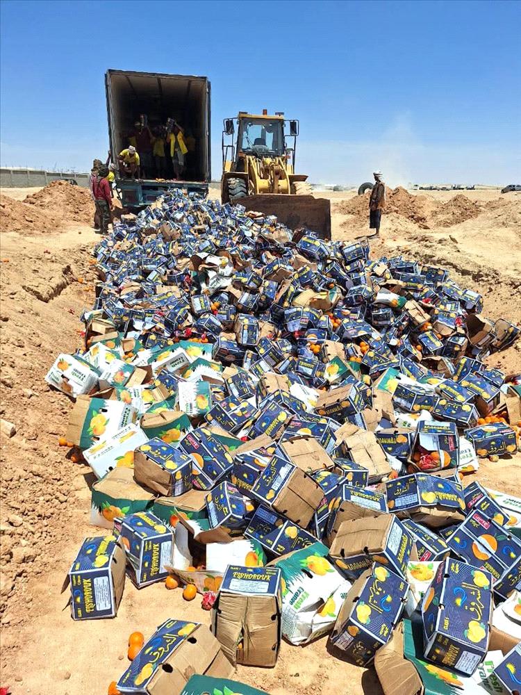 محطة الحجر النباتي بمنفذ شحن في المهرة تتلف 2864 كرتون برتقال متعفن