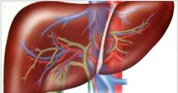 العلاج الاشعاعى الموجه يحقق طفرة فى علاج سرطان الكبد وتوفيره على نفقة الدولة