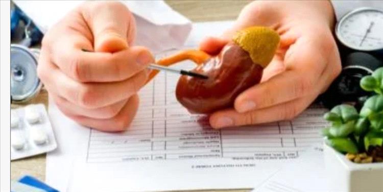 كيفية الوقاية والعلاج من مرض الكلى المزمن