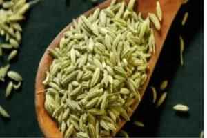 تباطؤ الهضم.. 3 بذور طبيعية امضغها للتخلص من مشاكل المعدة