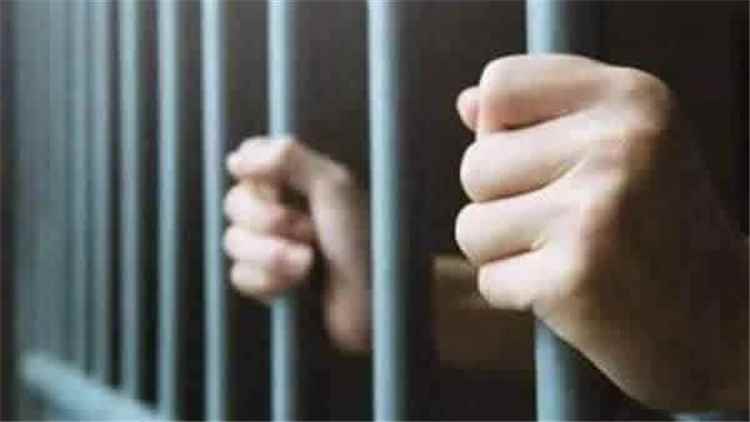 ضبط متهم بسرقة 9 رؤوس من الأغنام في سيئون