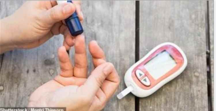 بكتيريا تستشعر مستويات الجلوكوز بالجسم.. تطوير علاج جديد لمرض السكر