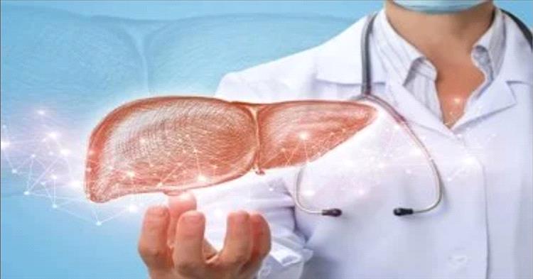 أفضل 10 أطعمة ومشروبات تساعد على تقليل دهون والتهابات الكبد