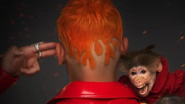 بإطلالة نارية وقرد صغير.. رامز جلال يلمح لمقالبه في رمضان