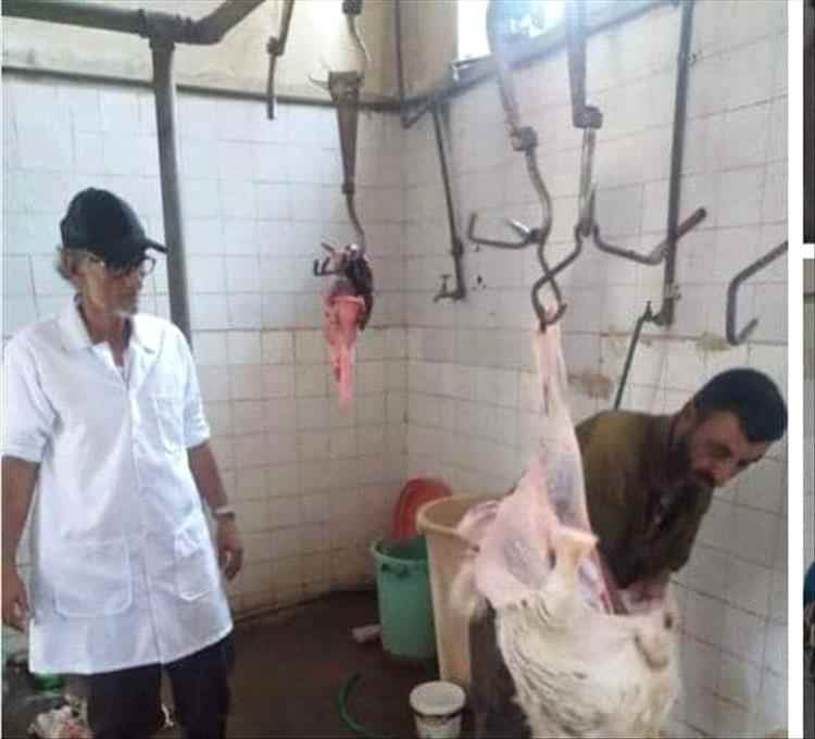 السلطة المحلية بالمعلا تعلن عن توفير لحوم بأسعار مدعومة طيلة شهر رمضان المبارك