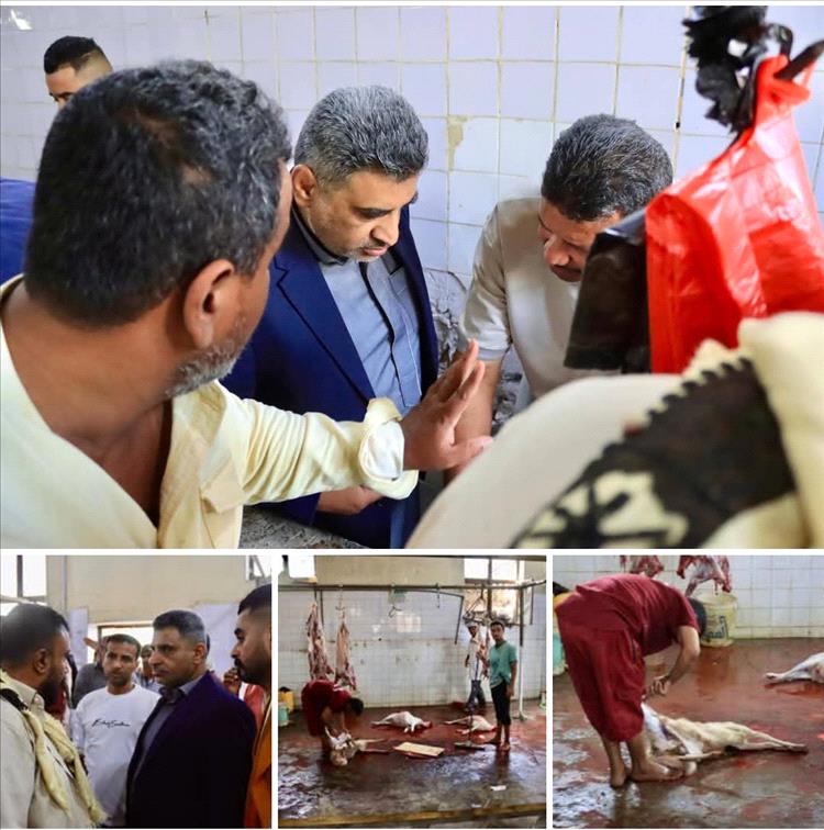 تدشين بيع اللحوم بأسعار مدعومة في المعلا