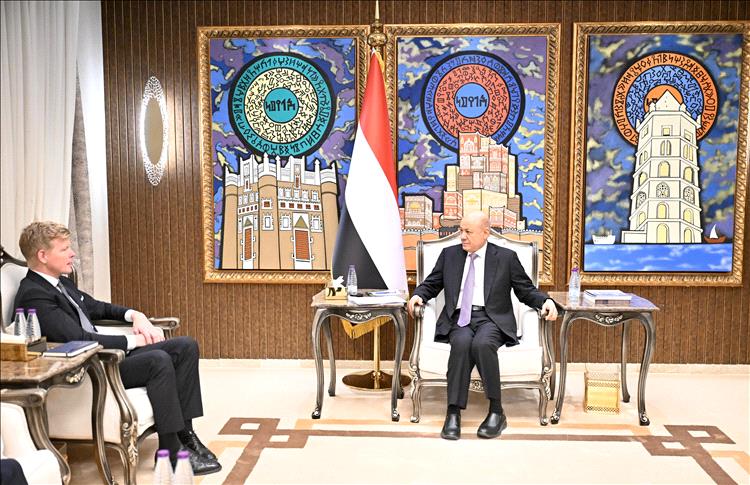 رشاد العليمي يلتقي المبعوث الخاص للأمم المتحدة