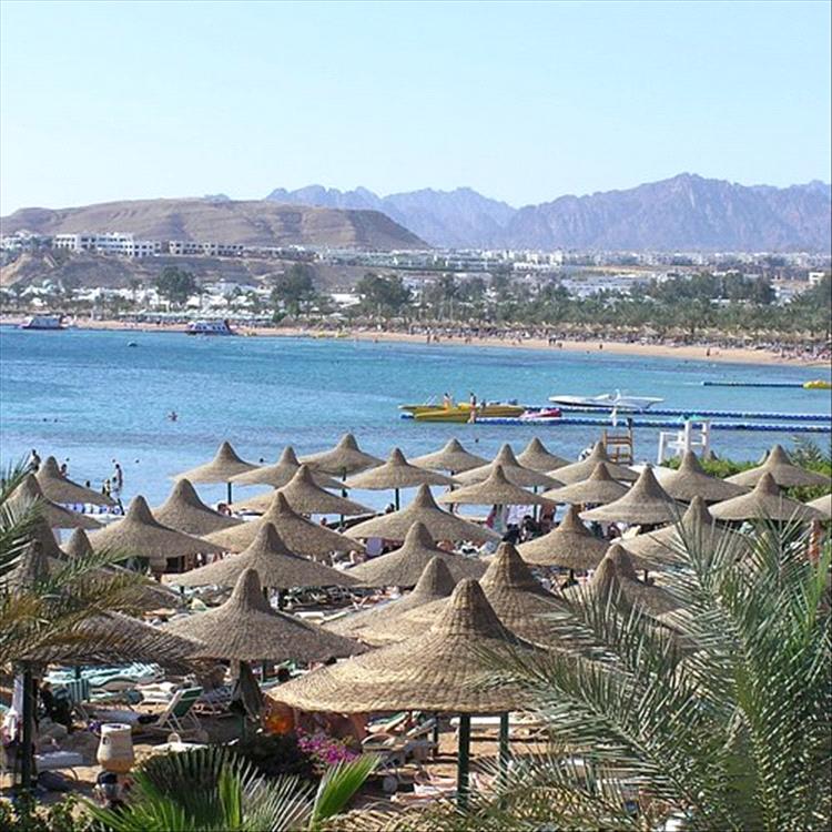 اضطراب ملاحي يضرب المتوسط.. الأرصاد المصرية تحذر من أمواج تصل لـ 5.5 متر