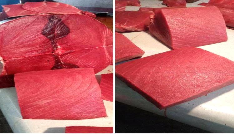 أسعار الأسماك صباح اليوم السبت 10 يناير 2026م بعدن