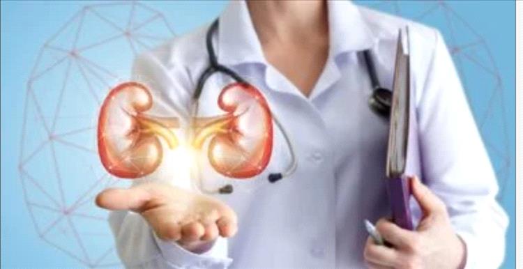 أفضل نظام غذائي لمرضى الكلى وأهم النصائح