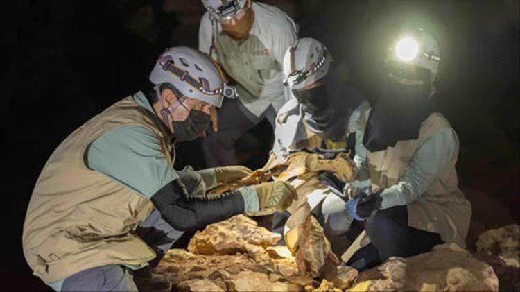 المركز الوطني لتنمية الحياة الفطرية يعلن اكتشاف بقايا فهود تعود لـ 4800 عام