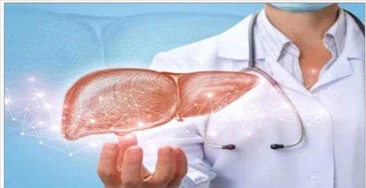 أطعمة ومشروبات تضر كبدك.. كيف تؤثر المقليات