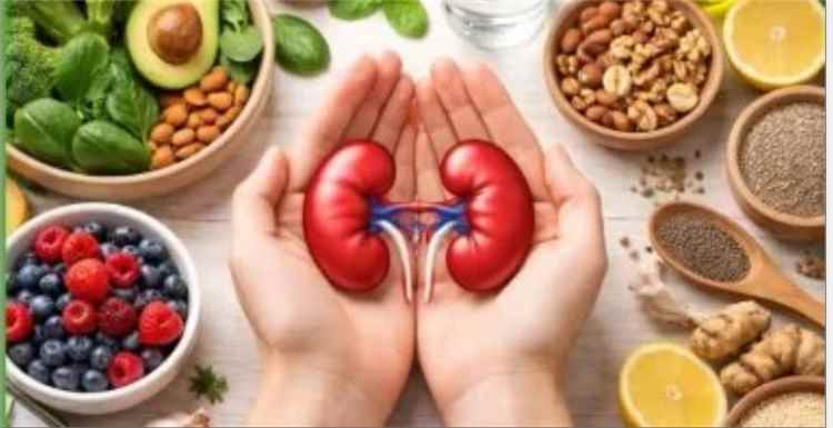 6 عادات يومية تحافظ على صحة الكلى .. وهذه العلامات التحذيرية لا تتجاهلها