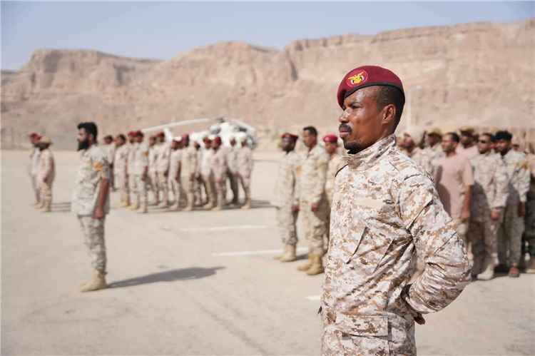 قوات درع الوطن تدشّن دورات تخصصية في عدد من المجالات العسكرية لتعزيز الجاهزية القتالية