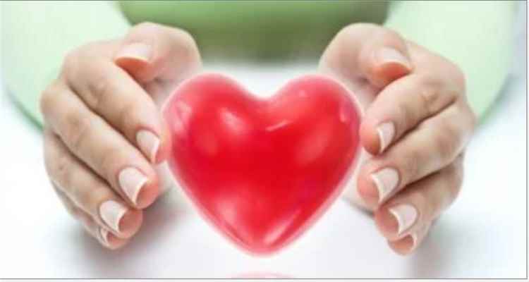 أكلات خفيفة صديقة للقلب بين الوجبات