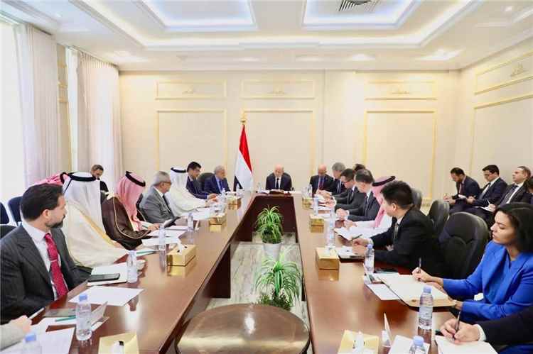 رئيس مجلس القيادة: رحلة طائرة الحرس الثوري إلى صنعاء خرق سافر للسيادة اليمنية وتحدٍ مباشر لهيبة النظام الدولي