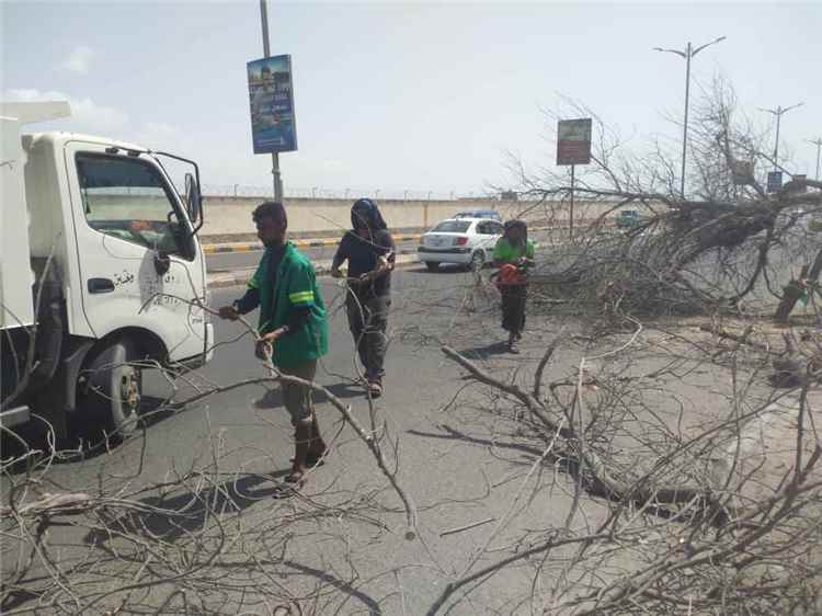 صندوق النظافة بعدن يقوم برفع الأشجار المتهالكة من خط المطار الدولي