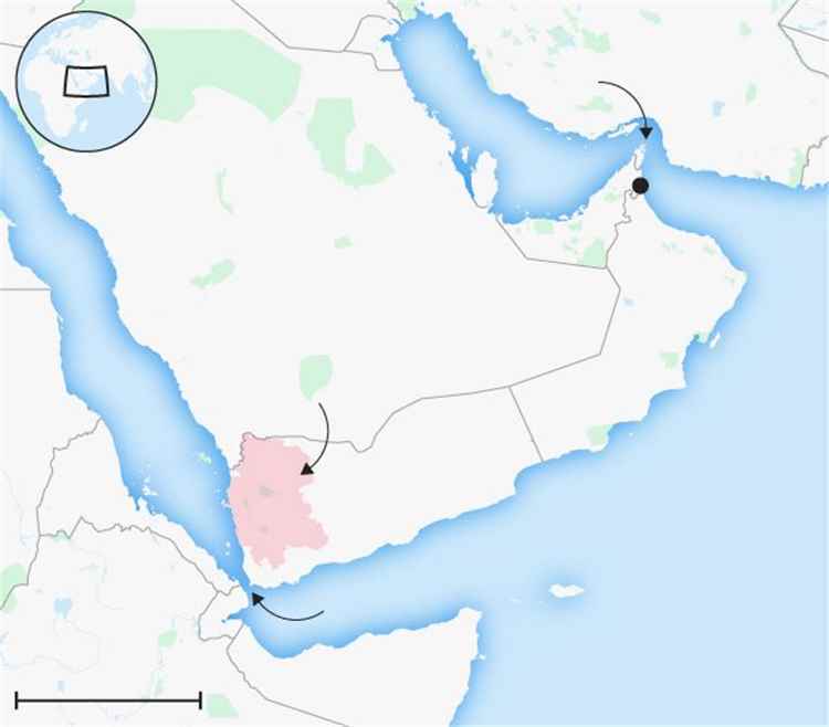 التلغراف: إيران تسعى لتوسيع نفوذها في باب المندب عبر الحوثيين وحلفائها