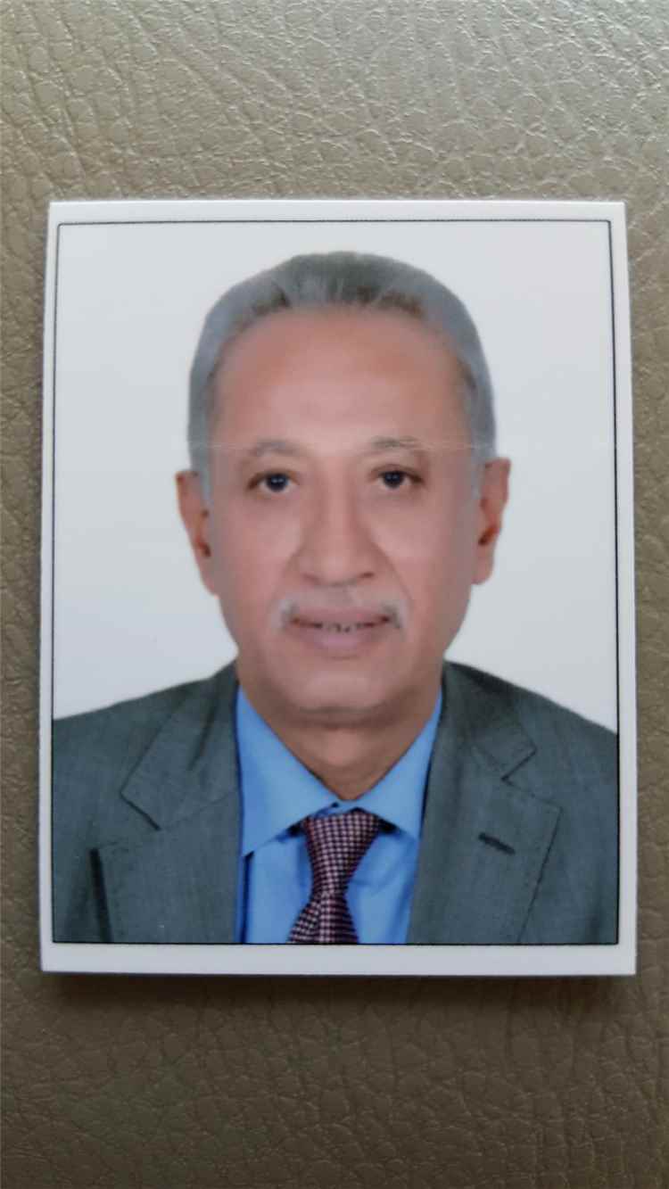 من بودابست.. السفير أحمد ناجي: باب المندب خط أحمر وأمن عالمي مهدد