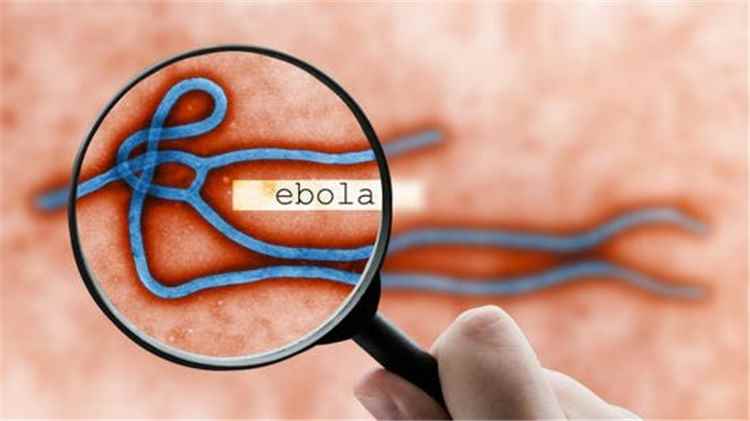 452 إصابة بـ"إيبولا" في الكونغو.. ومنظمة الصحة العالمية تطلق خطة طوارئ بـ518 مليون دولار
