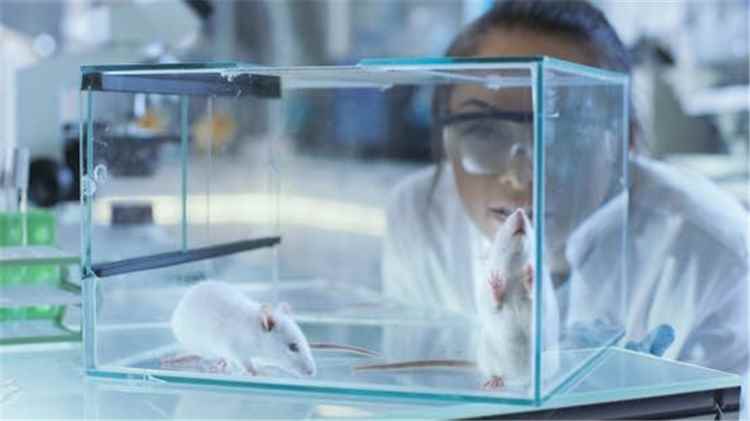 الدفاع الألمانية تتوقع تصاعد الأبحاث العسكرية على الحيوانات بحلول 2029