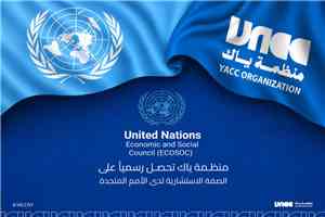 منظمة 