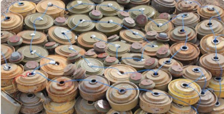 "مسام" ينزع 1,329 لغماً خلال أسبوع زرعتها المليشيات الحوثية الارهابية