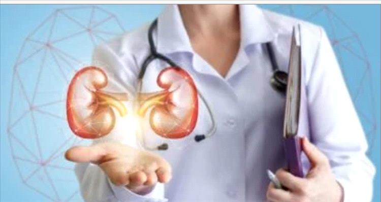 5 علامات تدل على أمراض الكلى.. متى يكون ألم الظهر خطرا