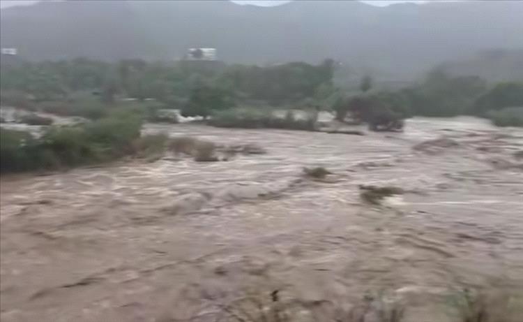 رئيس مجلس القيادة يطلع من عضو المجلس طارق صالح على آثار المنخفض الجوي في المديريات الغربية