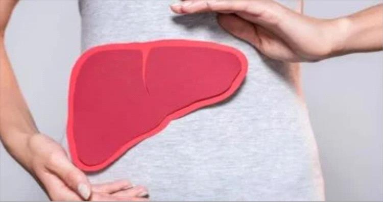 10 أطعمة يجب إضافتها لنظامك الغذائى لتحسين صحة الكبد