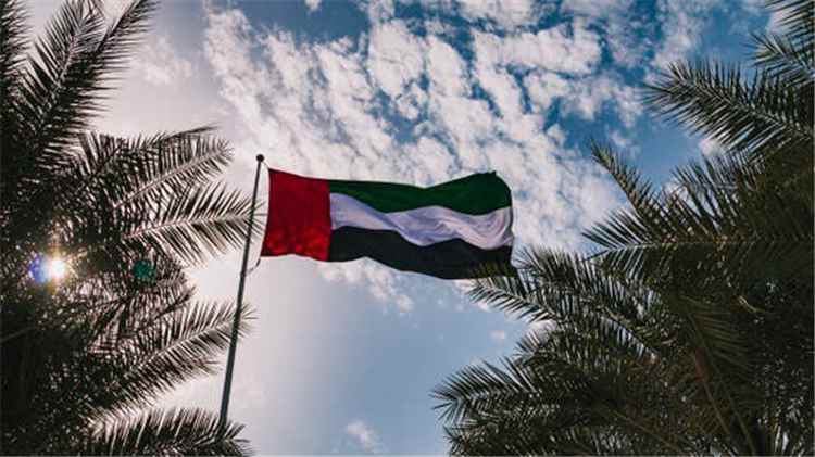 الإمارات تؤسس لجنة وطنية لتوثيق "الانتهاكات والجرائم الدولية" المرتبطة بالهجمات الإيرانية