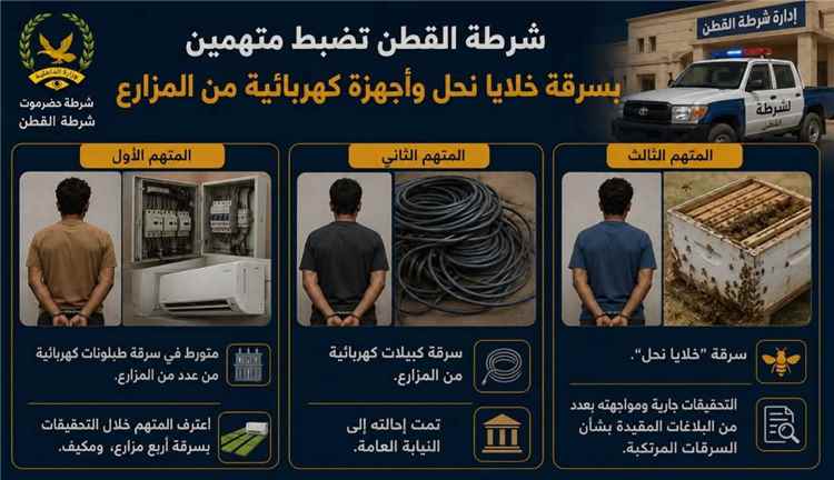 شرطة مديرية القطن تضبط متهمين بسرقات متخصصة في خلايا النحل والأجهزة الكهربائية من المزارع