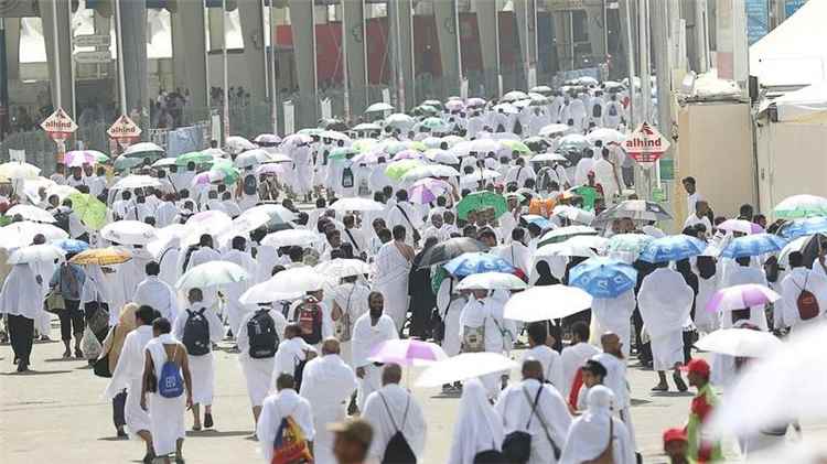 لجان بعثة الحج اليمنية.. جهود متواصلة لخدمة ضيوف الرحمن من المنافذ حتى المشاعر المقدسة