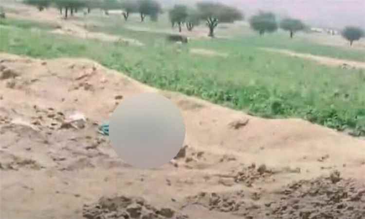 العثور على جثة امرأة مسنّة مقتولة داخل مزرعة في عمران