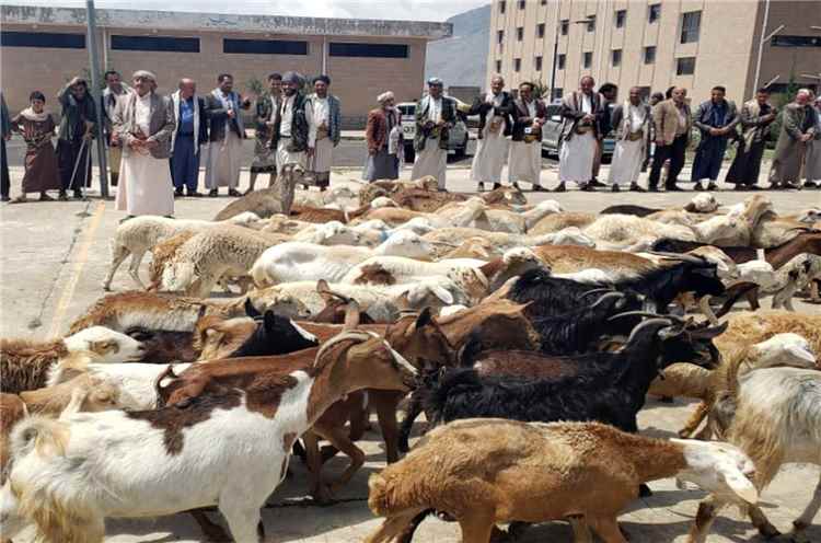 جبايات الحوثيين العيدية تُرهق سكان صنعاء وريفها
