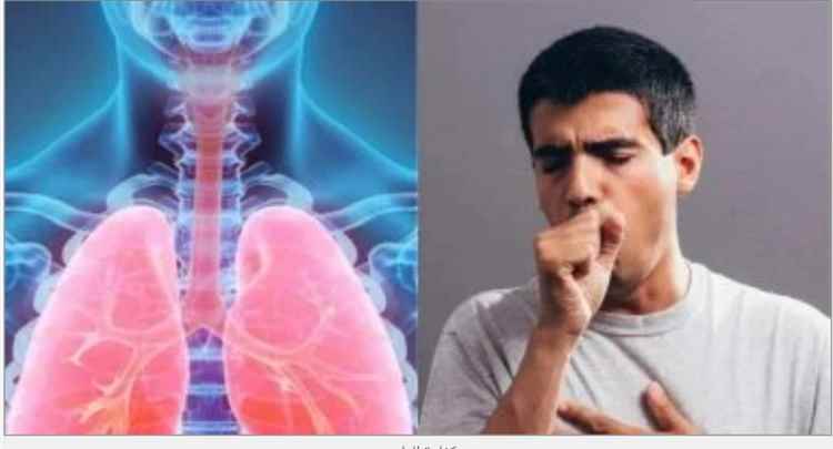 5 خطوات لتنظيف وتطهير الرئتين بشكل طبيعي