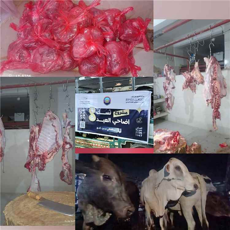 برعاية الفريق طارق صالح.. الخلية الإنسانية للمقاومة الوطنية توزع أضاحي العيد على ألف أسرة في عدن ولحج