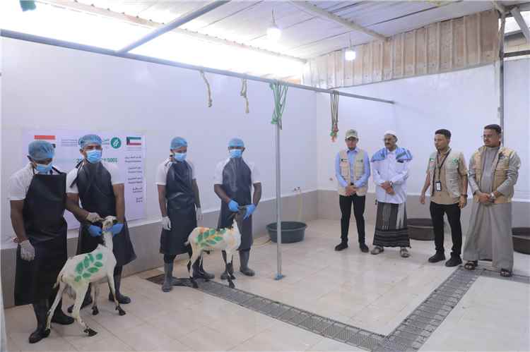 بدعم من العون المباشر الكويتية.. تدشين توزيع مشروع الأضاحي لـ1320 مستفيداً في محافظة حضرموت