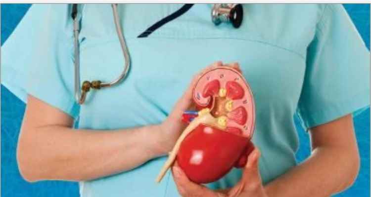 طرق طبيعية تساعد في التخلص من حصى الكلى