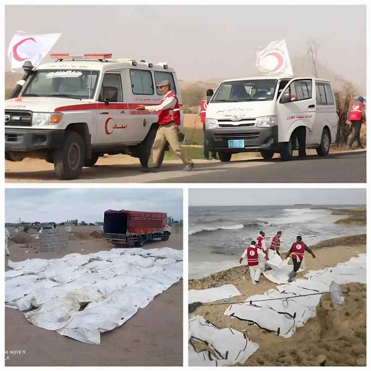 الهلال الأحمر ينتشل 486 جثة لعناصر من ميليشيا الحوثي في الساحل الغربي