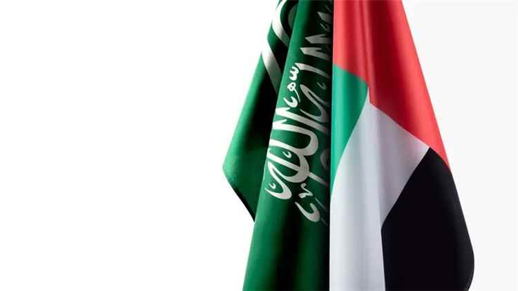 وزيرا خارجية السعودية والإمارات يبحثان التطورات الإقليمية