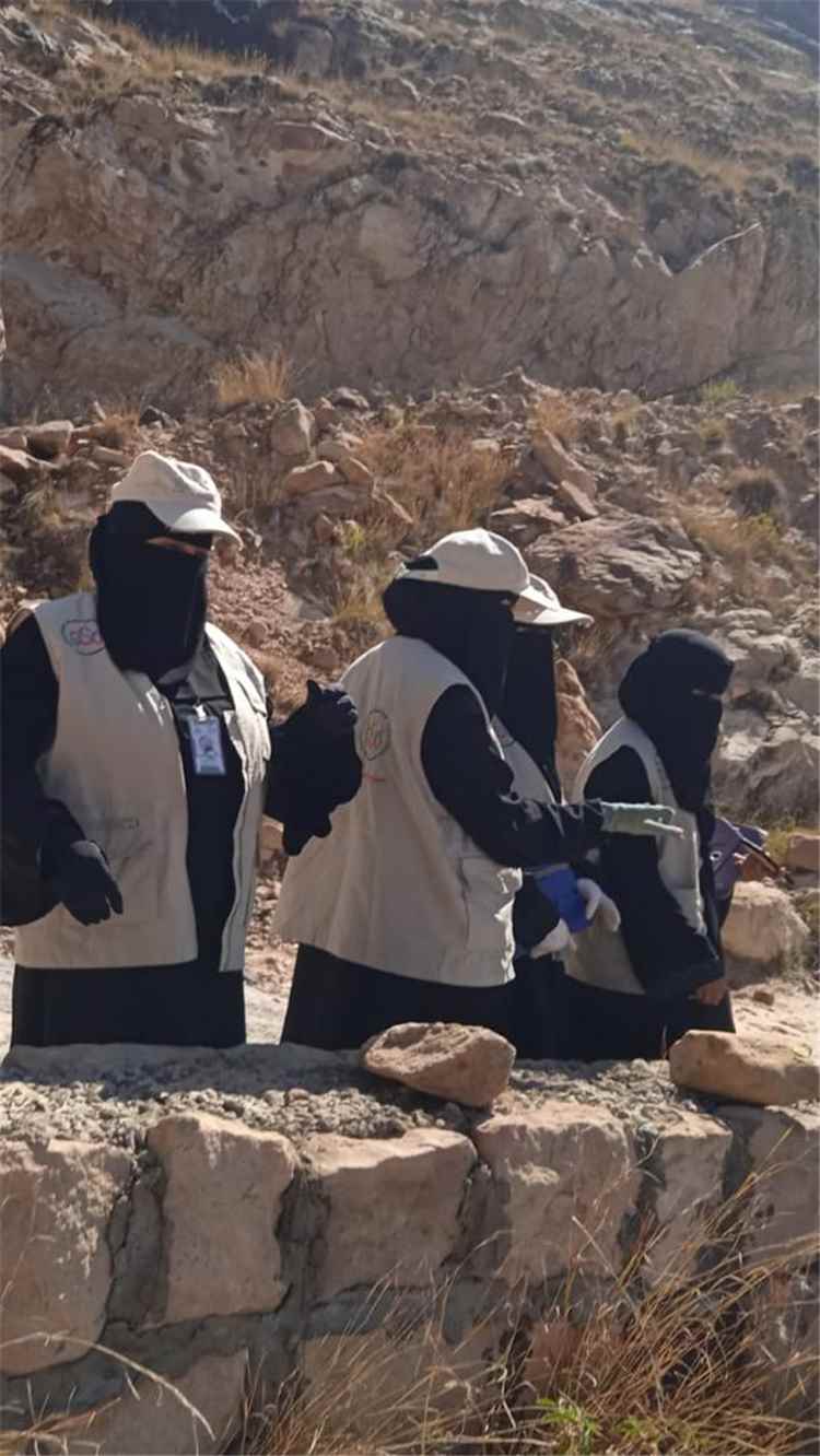 الضالع.. الباحثات الميدانيات يواصلن جمع بيانات الجولة الثالثة لمسح ميزانية الأسرة 2026م