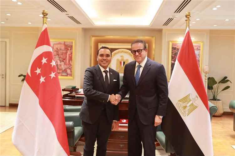 مصر وسنغافورة تضعان خطة لتقديم المساعدات لغزة وبحث إنشاء مركز لوجيستي في العريش