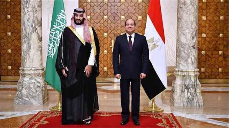 زيارة مرتقبة لولي العهد السعودي إلى مصر لتنسيق التعاون وتأمين باب المندب