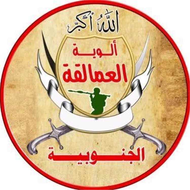 السقلدي: الحوثيون وقعوا في فخ المخا