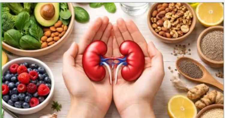 لا تنتظر ظهور الأعراض .. لماذا يجب إجراء فحوص وظائف الكلى كل 6 أشهر؟