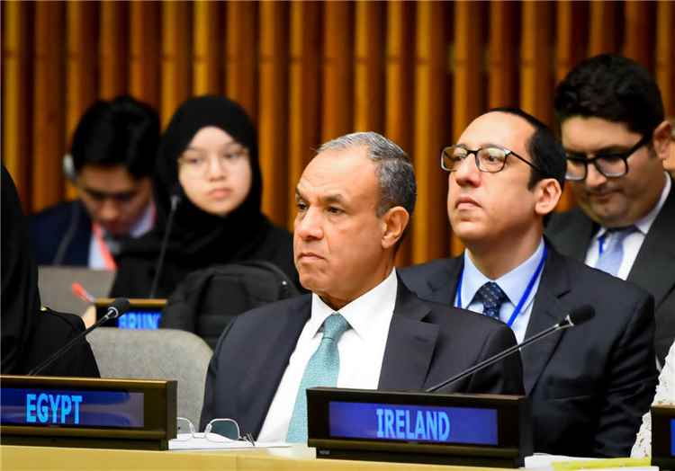 عبد العاطي يجدد من نيويورك موقف مصر الثابت بدعم "حل الدولتين" وتأكيد رفض التهجير وضم الأراضي